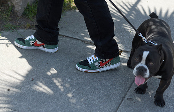 Nike SB Dog Walker Dunk High