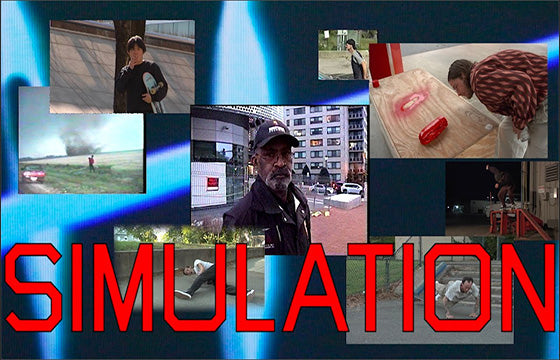 Quasi - Simulation