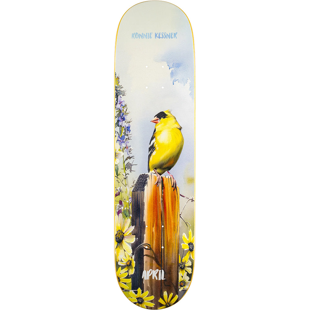 April Ronnie Kessner Gold Finch Deck 8"