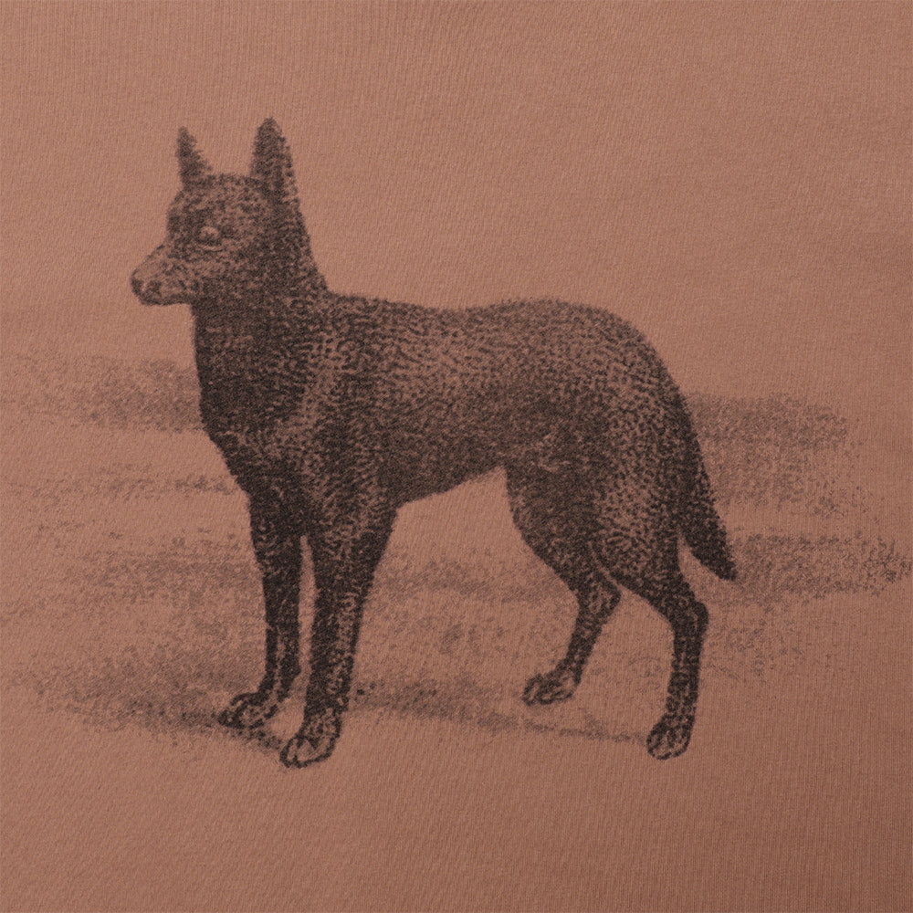 Pass~Port Kelpie Tee Dusty Brown