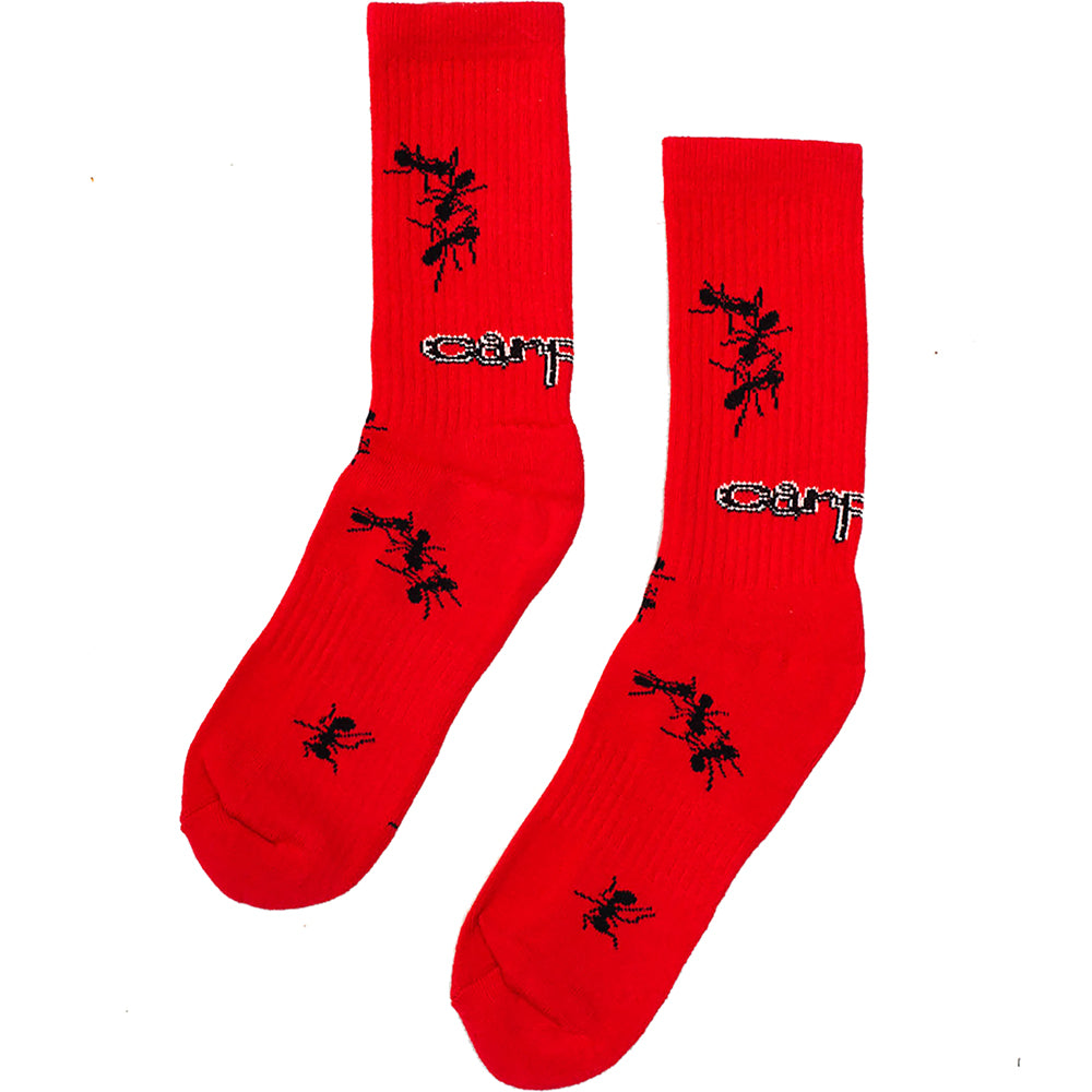 Carpet Company Ant Socks red